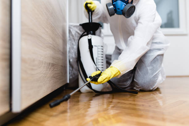 Best Residential Pest Control  in Grass Valley, CA