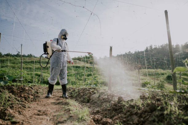 Best Best Pest Control Companies  in Grass Valley, CA