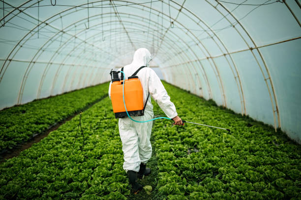 Best Pest Control Near Me  in Grass Valley, CA