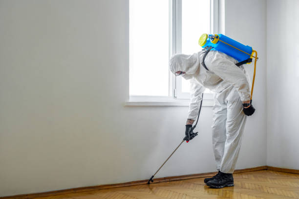 Best Bed Bug Extermination  in Grass Valley, CA