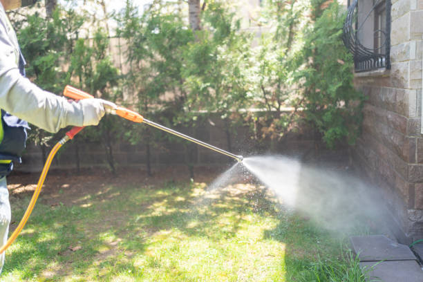Pest Control for Restaurants in Grass Valley, CA