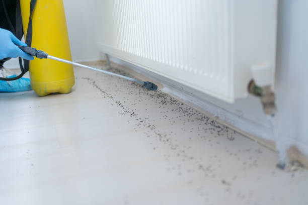Best Pest Prevention Services  in Grass Valley, CA