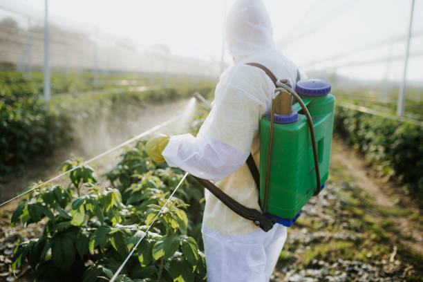Best Flea Control Services  in Grass Valley, CA